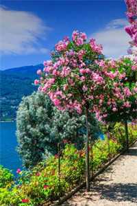 偏执反派囚禁我,社恐求之不得